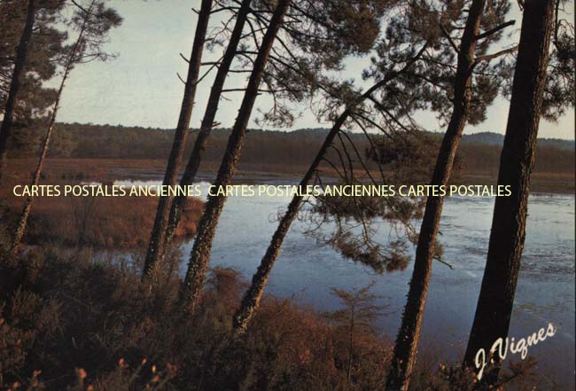 Cartes postales anciennes > CARTES POSTALES > carte postale ancienne > cartes-postales-ancienne.com Nouvelle aquitaine Landes Aureilhan