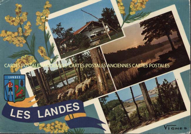 Cartes postales anciennes > CARTES POSTALES > carte postale ancienne > cartes-postales-ancienne.com Nouvelle aquitaine Landes Aureilhan