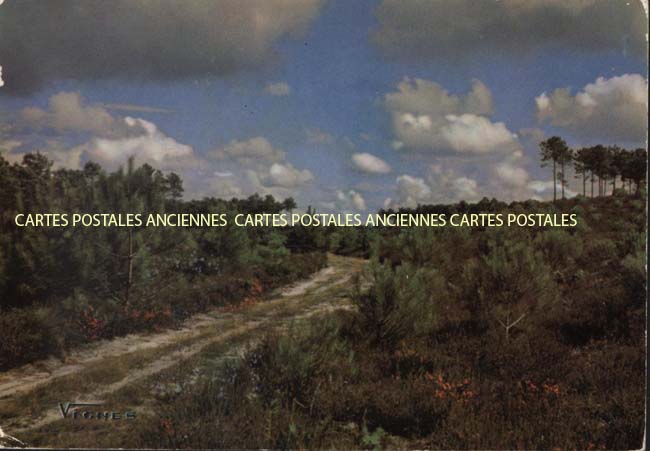 Cartes postales anciennes > CARTES POSTALES > carte postale ancienne > cartes-postales-ancienne.com Nouvelle aquitaine Landes Castets