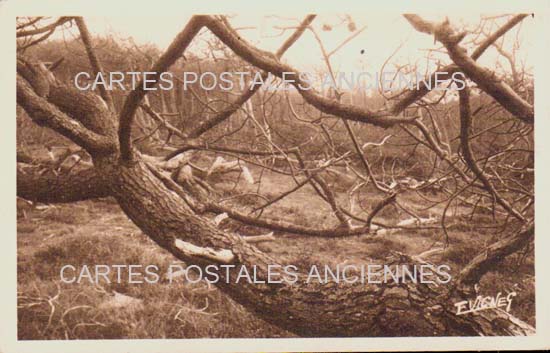 Cartes postales anciennes > CARTES POSTALES > carte postale ancienne > cartes-postales-ancienne.com Nouvelle aquitaine Landes Mimizan