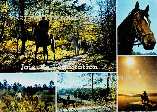Cartes postales anciennes > CARTES POSTALES > carte postale ancienne > cartes-postales-ancienne.com Nouvelle aquitaine Mont De Marsan