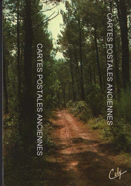 Cartes postales anciennes > CARTES POSTALES > carte postale ancienne > cartes-postales-ancienne.com Nouvelle aquitaine Landes Dax