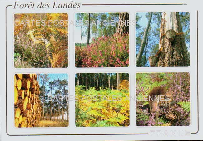 Cartes postales anciennes > CARTES POSTALES > carte postale ancienne > cartes-postales-ancienne.com Nouvelle aquitaine Landes Dax