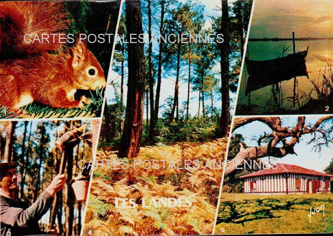 Cartes postales anciennes > CARTES POSTALES > carte postale ancienne > cartes-postales-ancienne.com Nouvelle aquitaine Landes Mont De Marsan