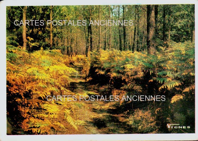Cartes postales anciennes > CARTES POSTALES > carte postale ancienne > cartes-postales-ancienne.com Nouvelle aquitaine Landes Dax
