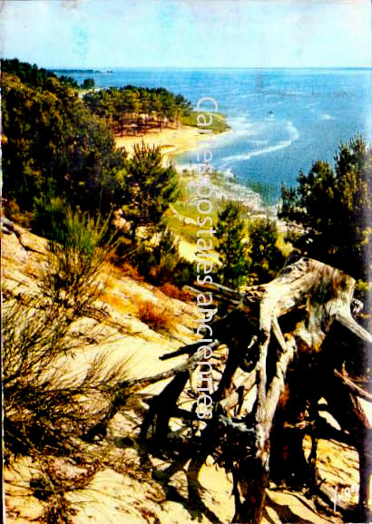 Cartes postales anciennes > CARTES POSTALES > carte postale ancienne > cartes-postales-ancienne.com Nouvelle aquitaine Seignosse