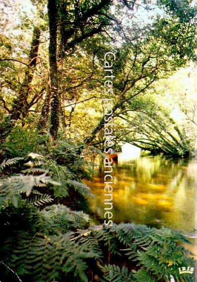 Cartes postales anciennes > CARTES POSTALES > carte postale ancienne > cartes-postales-ancienne.com Nouvelle aquitaine Leon