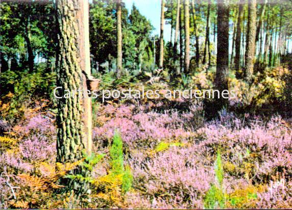 Cartes postales anciennes > CARTES POSTALES > carte postale ancienne > cartes-postales-ancienne.com Nouvelle aquitaine Landes Capbreton