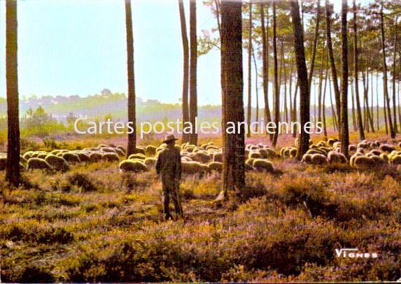 Cartes postales anciennes > CARTES POSTALES > carte postale ancienne > cartes-postales-ancienne.com Nouvelle aquitaine Capbreton