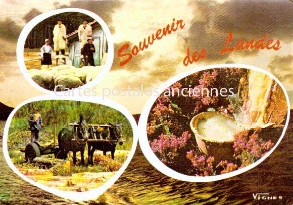 Cartes postales anciennes > CARTES POSTALES > carte postale ancienne > cartes-postales-ancienne.com Nouvelle aquitaine Landes Capbreton