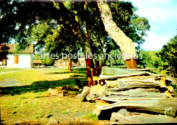 Cartes postales anciennes > CARTES POSTALES > carte postale ancienne > cartes-postales-ancienne.com Nouvelle aquitaine Capbreton