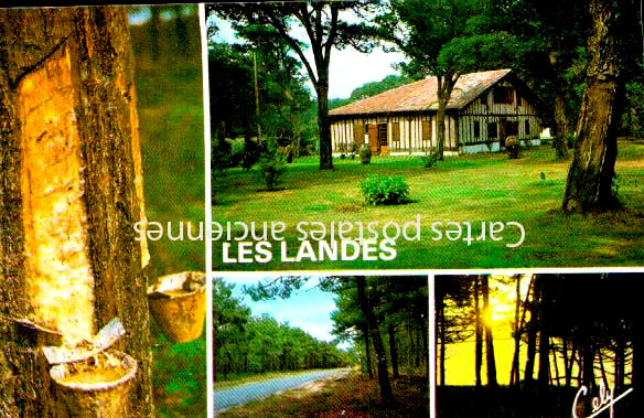 Cartes postales anciennes > CARTES POSTALES > carte postale ancienne > cartes-postales-ancienne.com Nouvelle aquitaine Capbreton