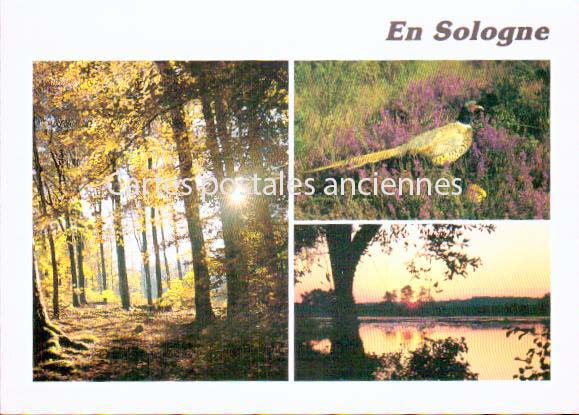 Cartes postales anciennes > CARTES POSTALES > carte postale ancienne > cartes-postales-ancienne.com Centre val de loire  Vendome