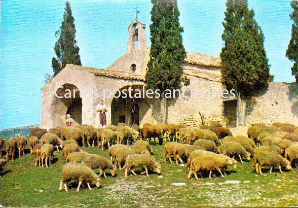 Cartes postales anciennes > CARTES POSTALES > carte postale ancienne > cartes-postales-ancienne.com Auvergne rhone alpes Loire Saint Sixte