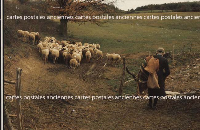 Cartes postales anciennes > CARTES POSTALES > carte postale ancienne > cartes-postales-ancienne.com Haute loire