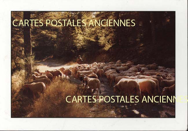 Cartes postales anciennes > CARTES POSTALES > carte postale ancienne > cartes-postales-ancienne.com Auvergne rhone alpes Haute loire Brioude