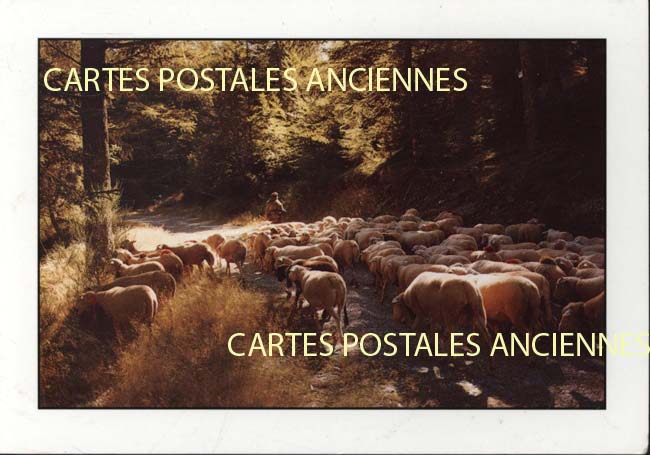 Cartes postales anciennes > CARTES POSTALES > carte postale ancienne > cartes-postales-ancienne.com Haute loire  Brioude
