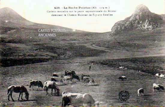 Cartes postales anciennes > CARTES POSTALES > carte postale ancienne > cartes-postales-ancienne.com Auvergne rhone alpes Haute loire Les Estables
