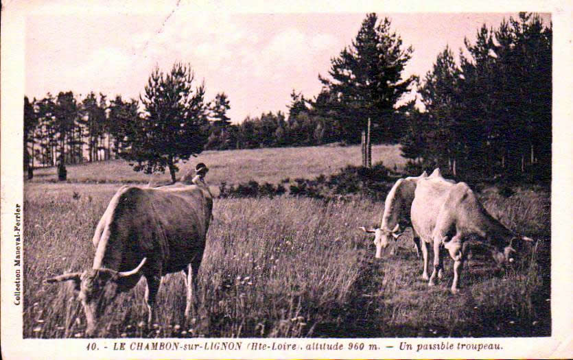 Cartes postales anciennes > CARTES POSTALES > carte postale ancienne > cartes-postales-ancienne.com Auvergne rhone alpes Haute loire Le Chambon Sur Lignon