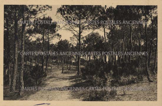 Cartes postales anciennes > CARTES POSTALES > carte postale ancienne > cartes-postales-ancienne.com Loire atlantique