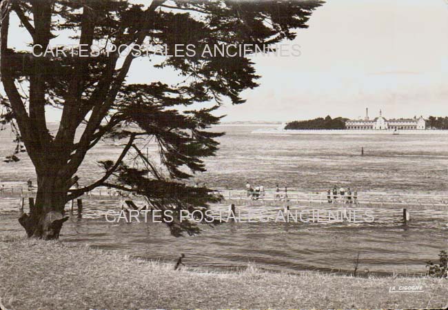 Cartes postales anciennes > CARTES POSTALES > carte postale ancienne > cartes-postales-ancienne.com Pays de la loire Le Croisic