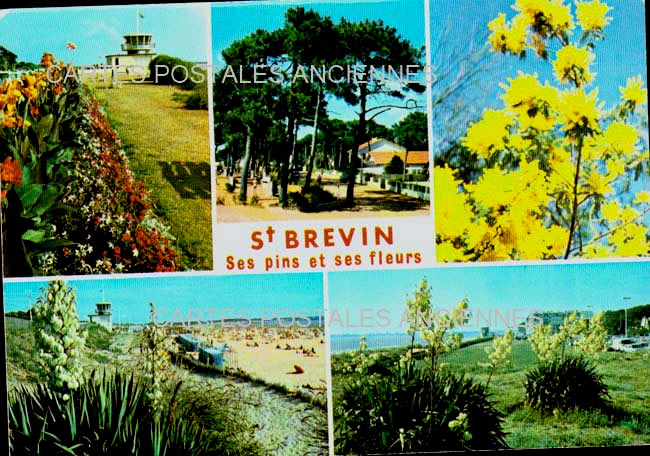 Cartes postales anciennes > CARTES POSTALES > carte postale ancienne > cartes-postales-ancienne.com Pays de la loire Loire atlantique Saint-Brevin-l'Ocean