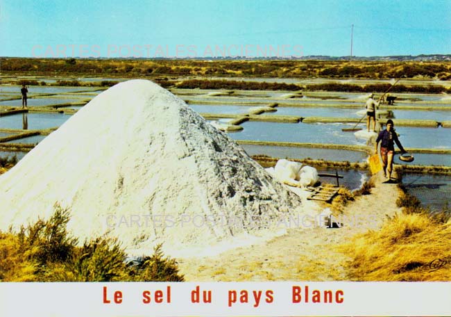 Cartes postales anciennes > CARTES POSTALES > carte postale ancienne > cartes-postales-ancienne.com Pays de la loire Guerande
