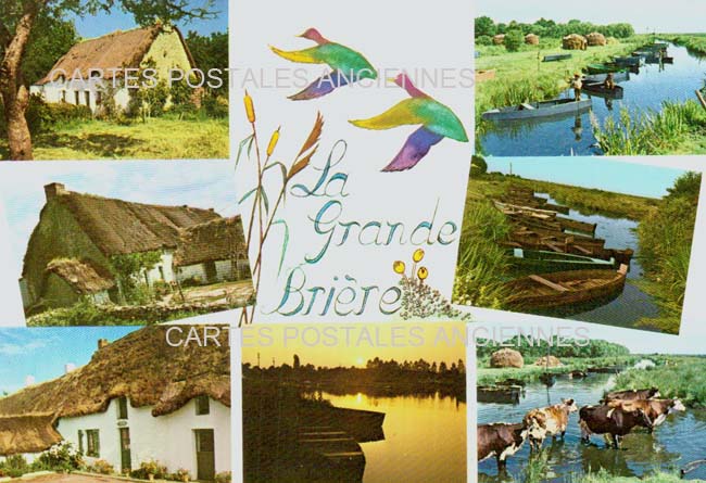 Cartes postales anciennes > CARTES POSTALES > carte postale ancienne > cartes-postales-ancienne.com Pays de la loire Loire atlantique Saint Joachim