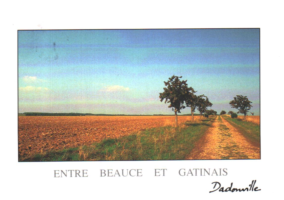 Cartes postales anciennes > CARTES POSTALES > carte postale ancienne > cartes-postales-ancienne.com Centre val de loire  Loiret Montargis