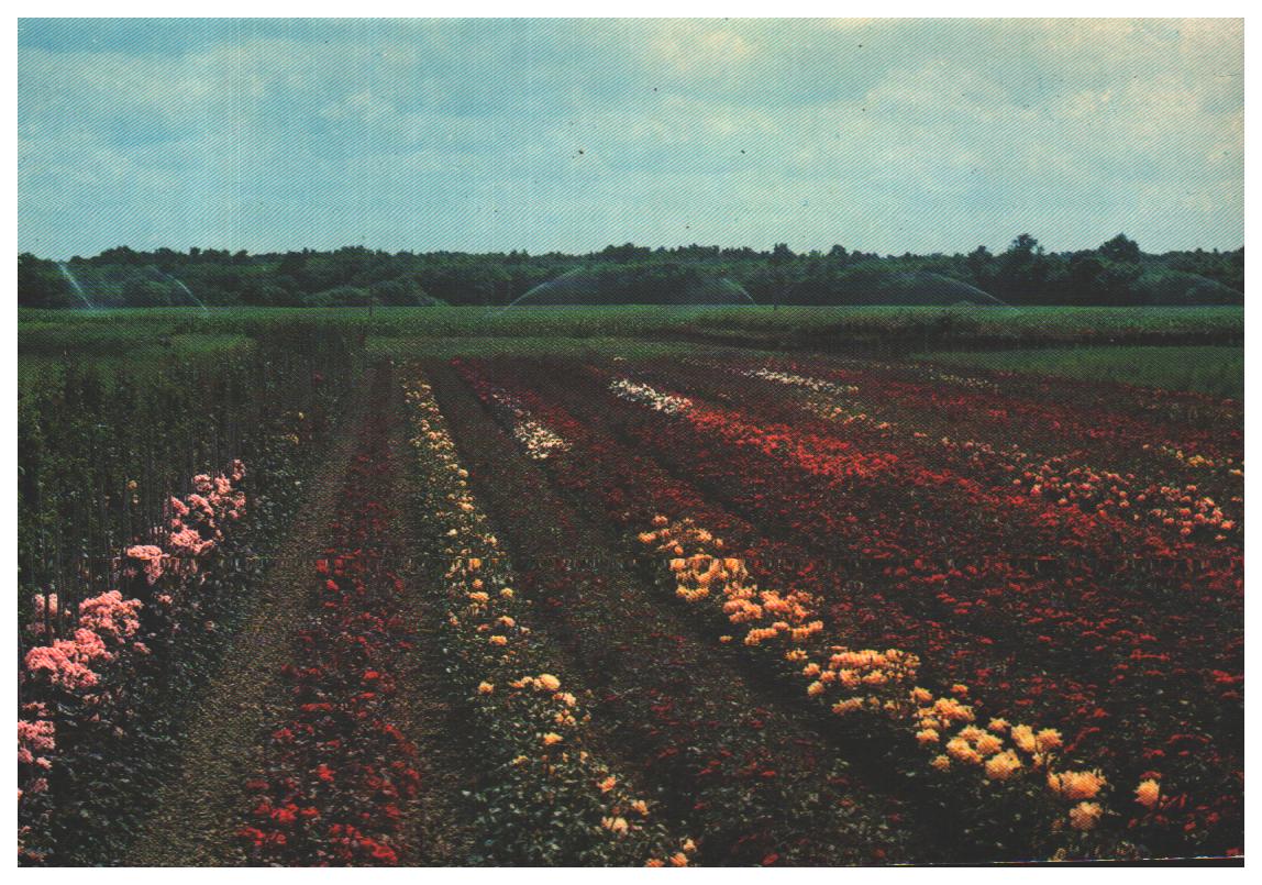 Cartes postales anciennes > CARTES POSTALES > carte postale ancienne > cartes-postales-ancienne.com Centre val de loire  Sully Sur Loire