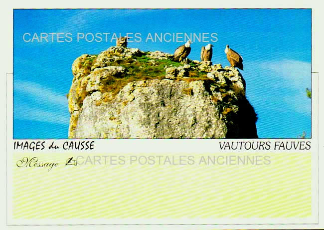 Cartes postales anciennes > CARTES POSTALES > carte postale ancienne > cartes-postales-ancienne.com Occitanie Lot Lentillac Lauzes