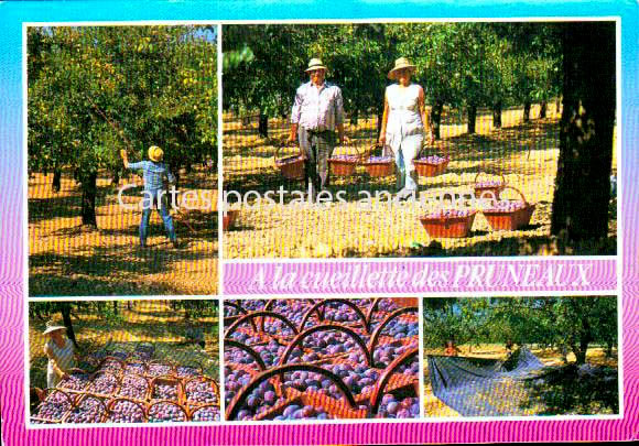 Cartes postales anciennes > CARTES POSTALES > carte postale ancienne > cartes-postales-ancienne.com Nouvelle aquitaine Fumel