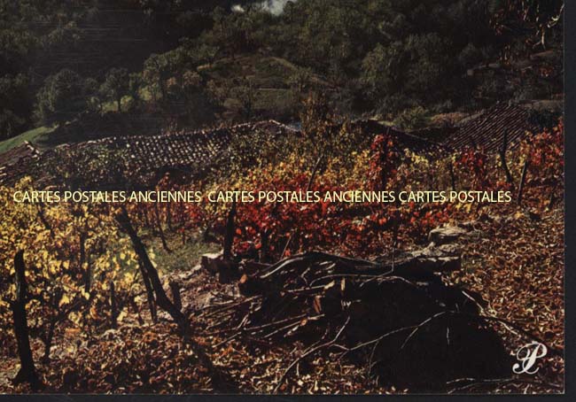 Cartes postales anciennes > CARTES POSTALES > carte postale ancienne > cartes-postales-ancienne.com Occitanie Lozere Arzenc D Apcher
