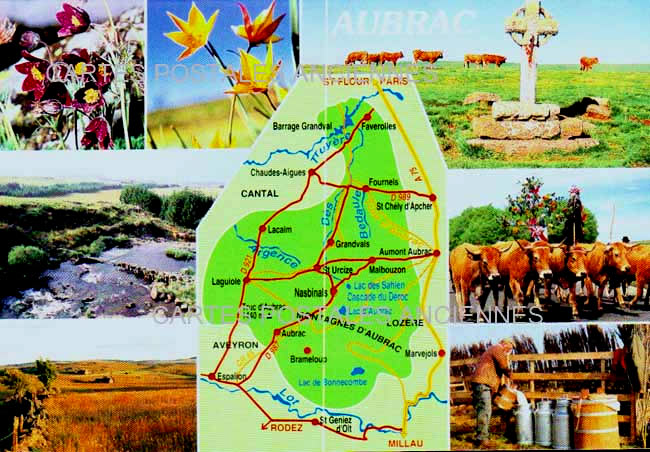 Cartes postales anciennes > CARTES POSTALES > carte postale ancienne > cartes-postales-ancienne.com Aveyron  Aubrac
