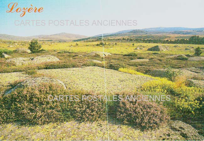 Cartes postales anciennes > CARTES POSTALES > carte postale ancienne > cartes-postales-ancienne.com Occitanie Lozere Florac