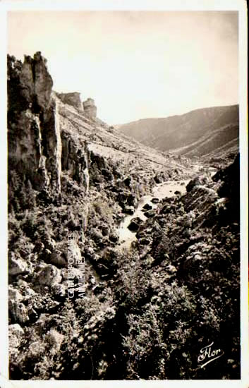 Cartes postales anciennes > CARTES POSTALES > carte postale ancienne > cartes-postales-ancienne.com Occitanie Lozere Florac