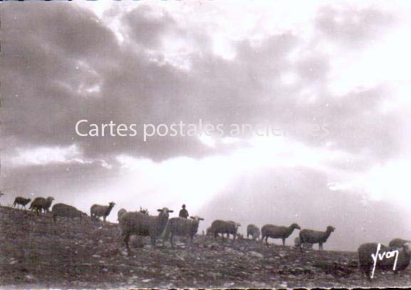 Cartes postales anciennes > CARTES POSTALES > carte postale ancienne > cartes-postales-ancienne.com Occitanie Lozere Sainte Enimie