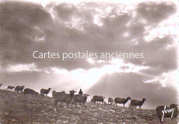 Cartes postales anciennes > CARTES POSTALES > carte postale ancienne > cartes-postales-ancienne.com Occitanie Lozere Sainte Enimie