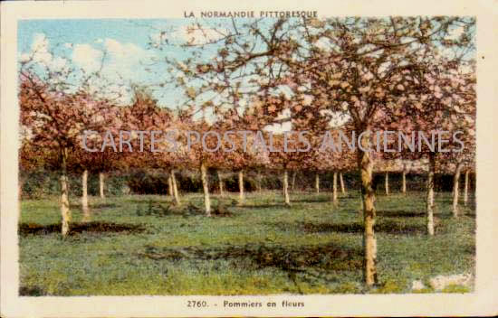 Cartes postales anciennes > CARTES POSTALES > carte postale ancienne > cartes-postales-ancienne.com Normandie Manche Saint Pierre Eglise