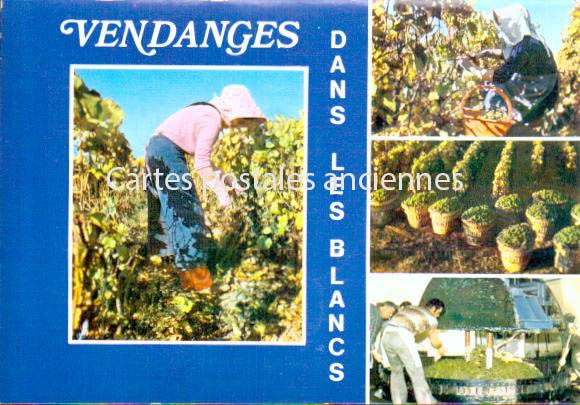 Cartes postales anciennes > CARTES POSTALES > carte postale ancienne > cartes-postales-ancienne.com Grand est Marne Epernay