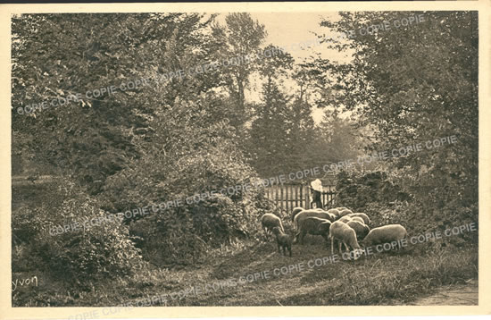 Cartes postales anciennes > CARTES POSTALES > carte postale ancienne > cartes-postales-ancienne.com Pays de la loire Mayenne Saint Fort