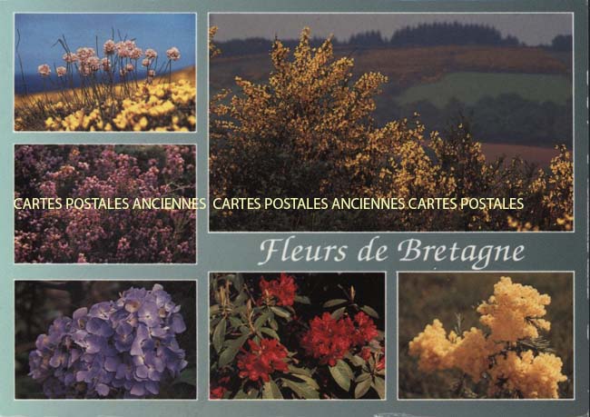 Cartes postales anciennes > CARTES POSTALES > carte postale ancienne > cartes-postales-ancienne.com Bretagne Neant Sur Yvel