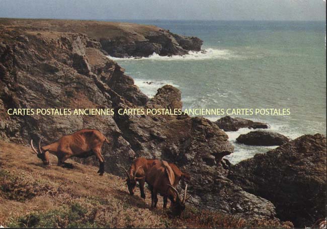 Cartes postales anciennes > CARTES POSTALES > carte postale ancienne > cartes-postales-ancienne.com Bretagne Morbihan Bangor