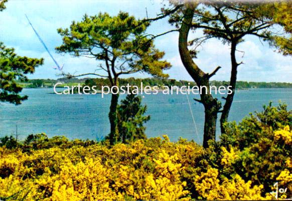 Cartes postales anciennes > CARTES POSTALES > carte postale ancienne > cartes-postales-ancienne.com Bretagne Morbihan Ile Aux Moines