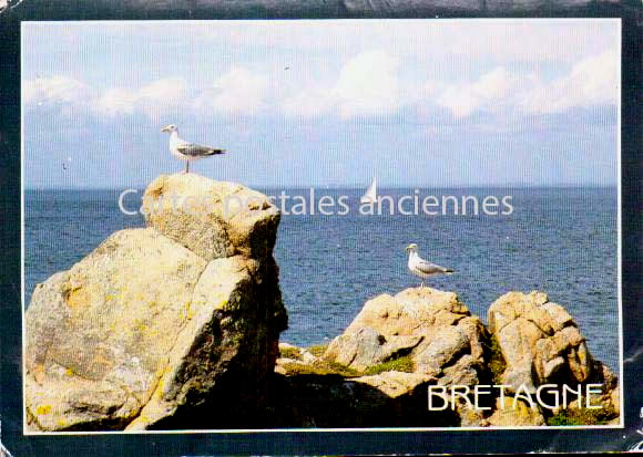 Cartes postales anciennes > CARTES POSTALES > carte postale ancienne > cartes-postales-ancienne.com Bretagne Morbihan Quiberon