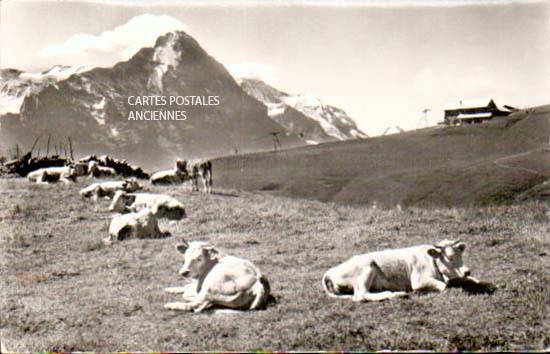 Cartes postales anciennes > CARTES POSTALES > carte postale ancienne > cartes-postales-ancienne.com Meurthe et moselle 54 Bouzanville