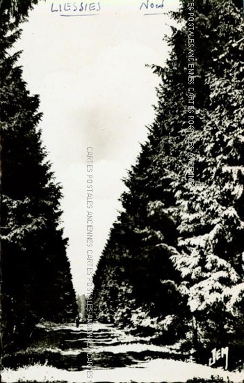 Cartes postales anciennes > CARTES POSTALES > carte postale ancienne > cartes-postales-ancienne.com Hauts de france Nord