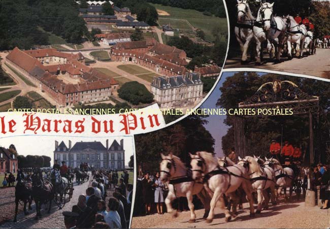 Cartes postales anciennes > CARTES POSTALES > carte postale ancienne > cartes-postales-ancienne.com Normandie Orne Le Pin Au Haras