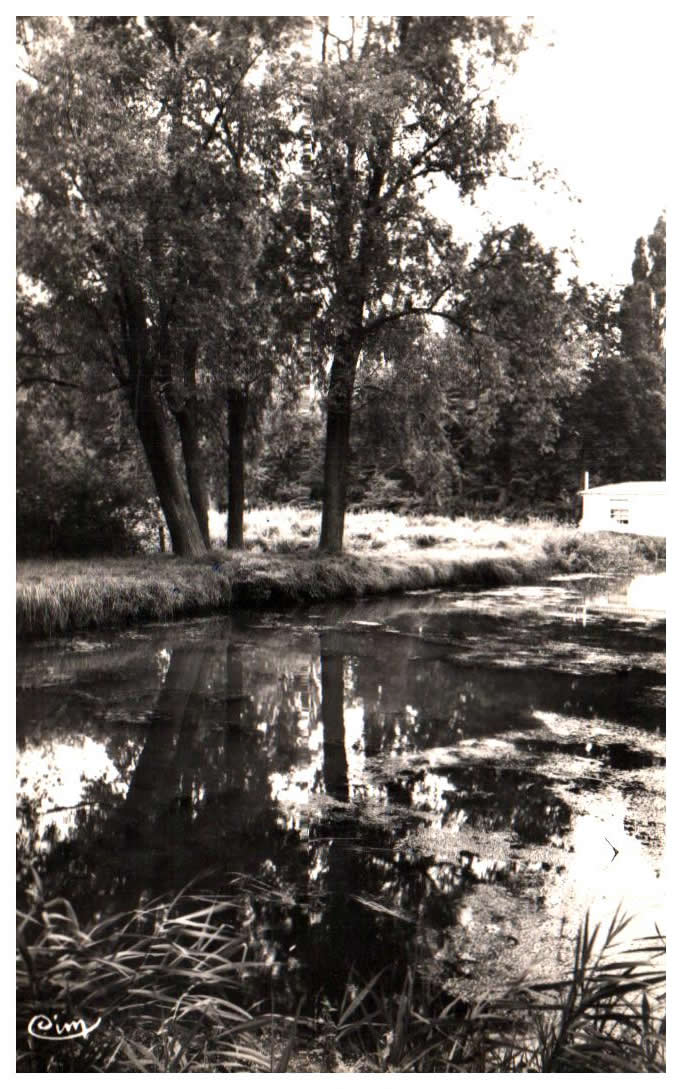 Cartes postales anciennes > CARTES POSTALES > carte postale ancienne > cartes-postales-ancienne.com Pas de calais 62 Bonningues Les Calais