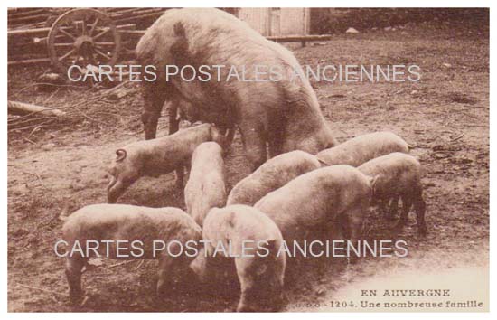 Cartes postales anciennes > CARTES POSTALES > carte postale ancienne > cartes-postales-ancienne.com Auvergne rhone alpes Puy de dome Royat